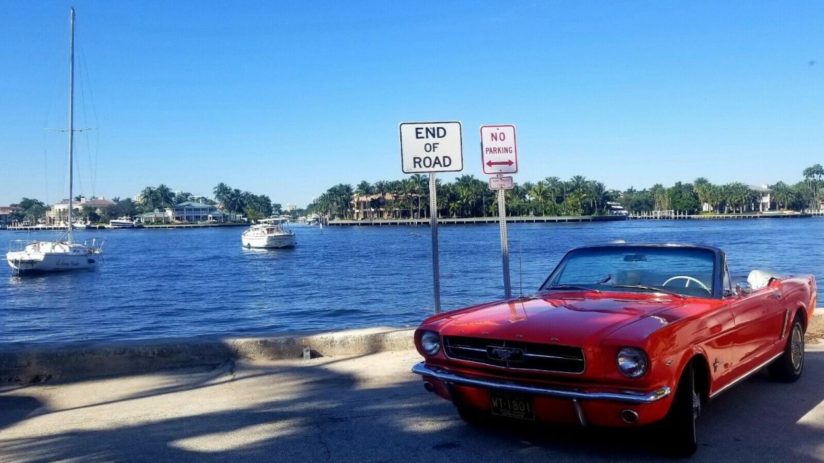 19641/2 Mustang Convertible A Real Classic 1964 Ford Mustang