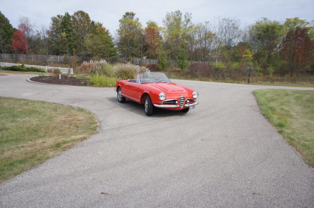 1965 Alfa Romeo Giulia Spider Veloce - photo 3