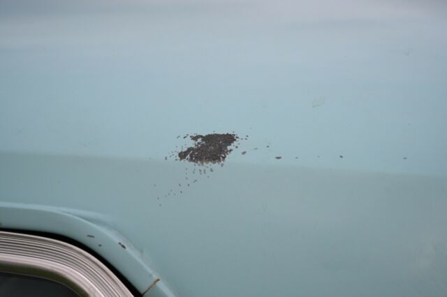 1965 AMC Rambler - photo 10