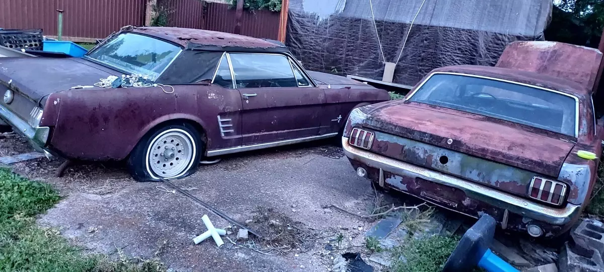1965 & 1966 Mustang for sale 1965 Ford Mustang