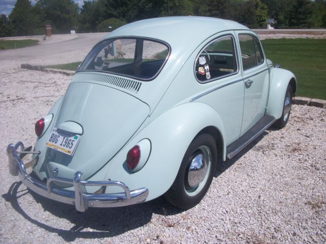 1965 bug 1965 Volkswagen Beetle - Classic