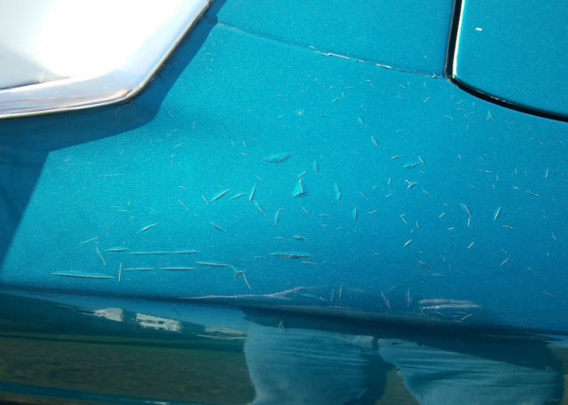 1965 Buick Gran Sport - photo 10