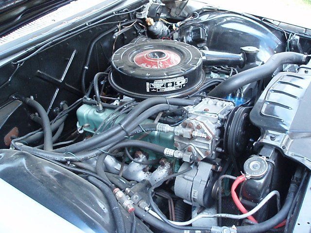 1965 Buick LeSabre Deluxe 400 Trim Pkg. - photo 4