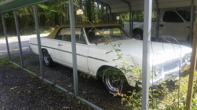 1965 Buick Skylark - photo 2