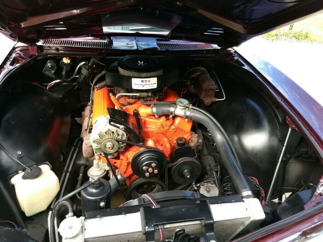 1965 Chevrolet Corvair Corsa - photo 9