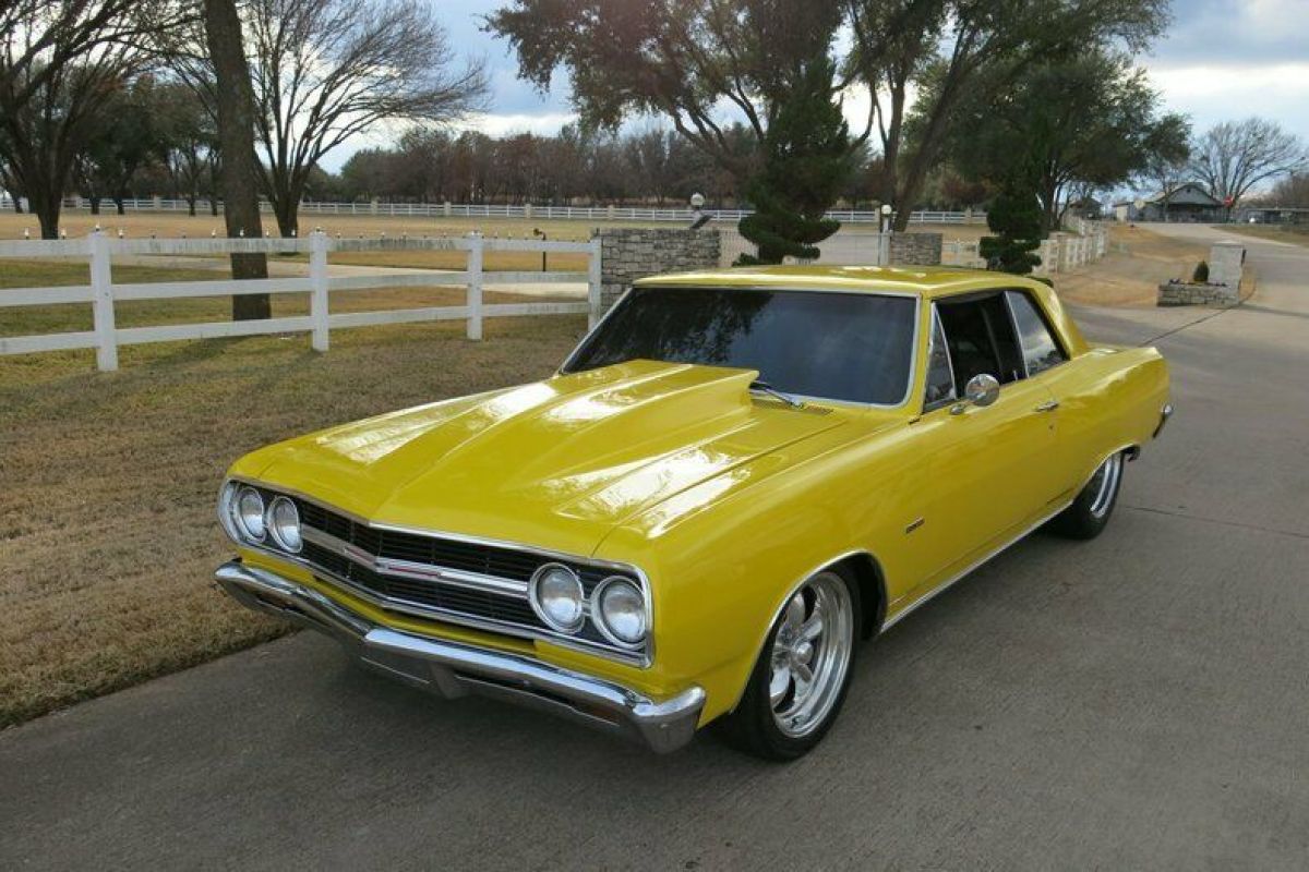 1965 Chevrolet Chevelle Pro Touring
