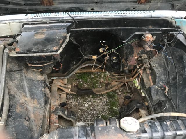 1965 Chevrolet C-10 - photo 10