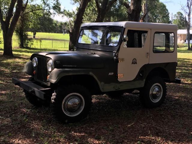 1965 Jeep CJ - photo 2