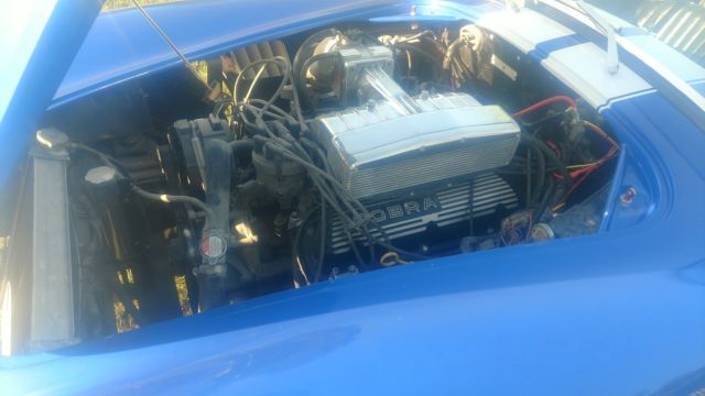 1965 Replica/Kit Makes COBRA - photo 10