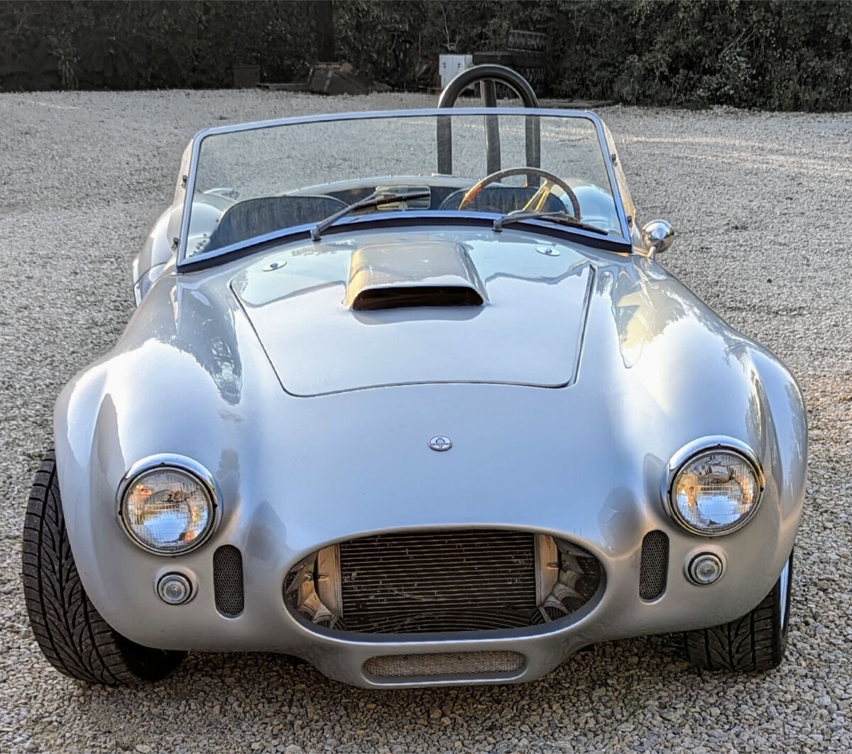 1965 Shelby Cobra Replica - photo 2