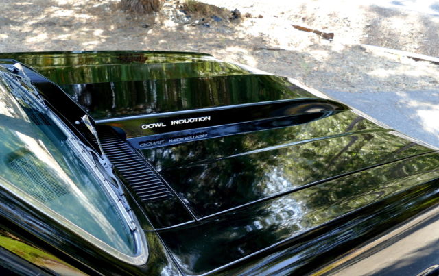 1965 Chevrolet El Camino - photo 13