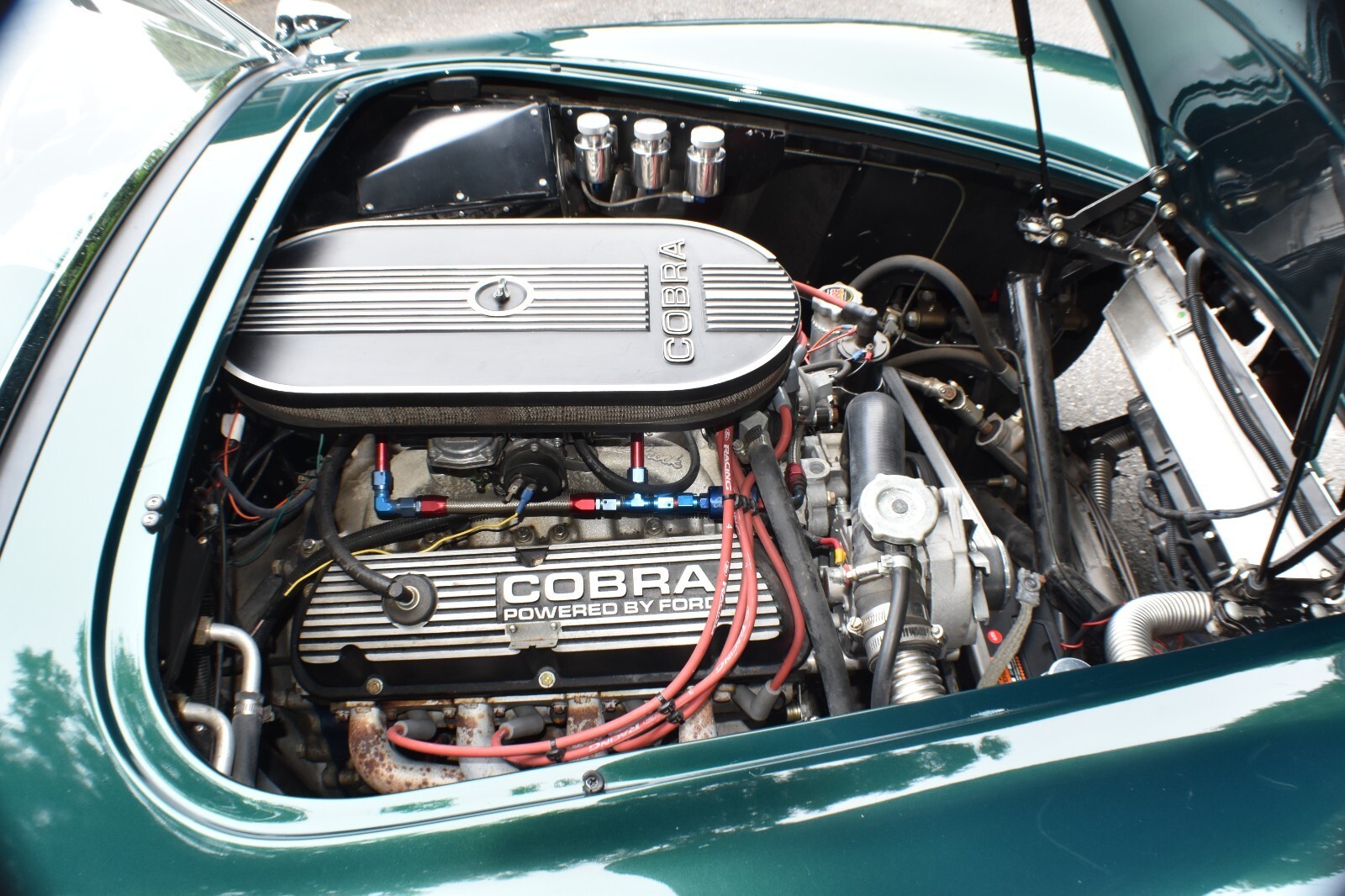 1965 Factory Five Racing Mark IV Cobra 363 cu in Windsor Tremec - photo 13