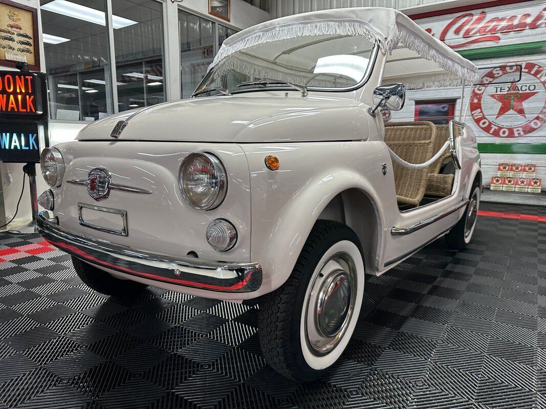 1965 Fiat Jolly Giardiniera - photo 10