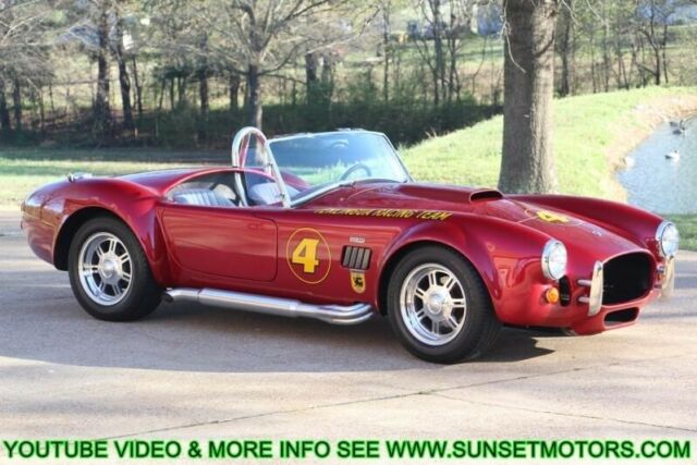 1965 FORD COBRA TERLINGUA RACING ROADSTER CARROL SHELBY REPLICA KIT CAR 1965 Ford Other TERLINGUA RACING