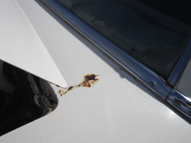 1965 Ford Galaxie STANDARD - photo 5