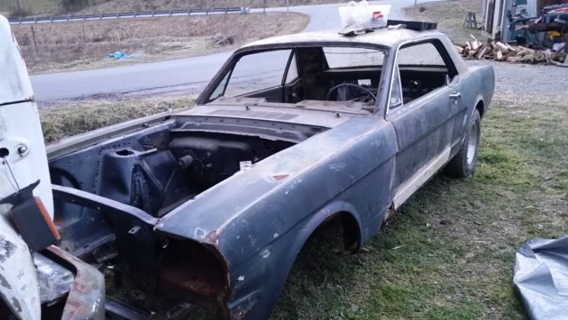 1965 Ford Musang 1965 Ford Mustang