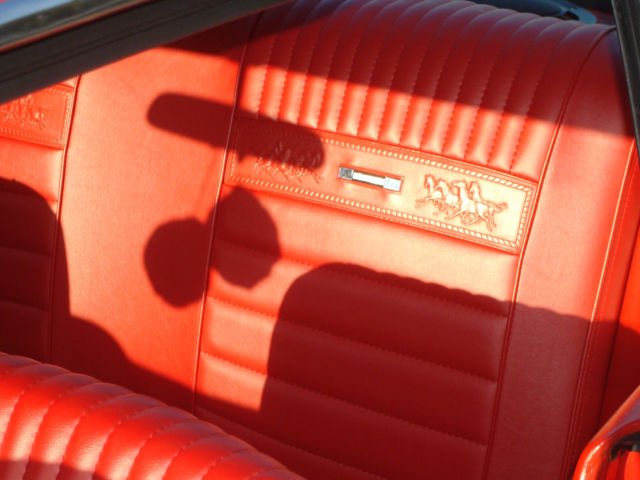 1965 Ford Mustang - photo 11