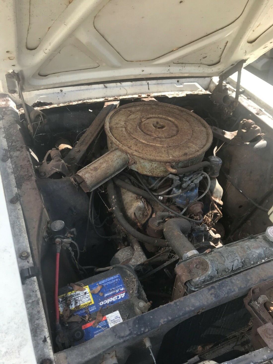 1965 Ford Mustang - photo 6