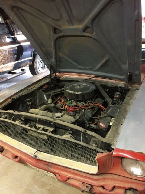 1965 Ford Mustang - photo 3