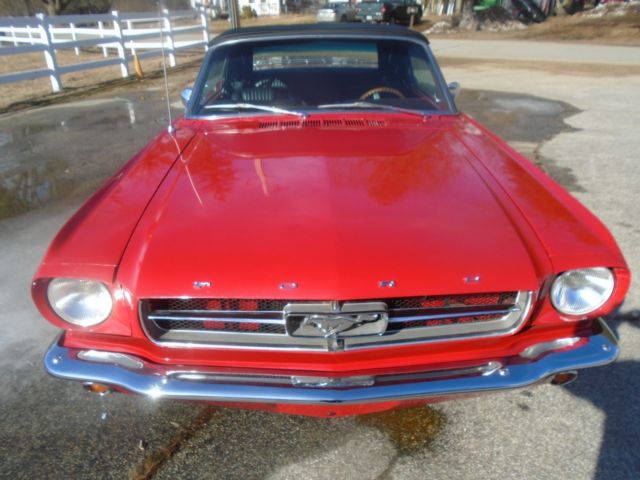 1965 Ford Mustang - photo 4