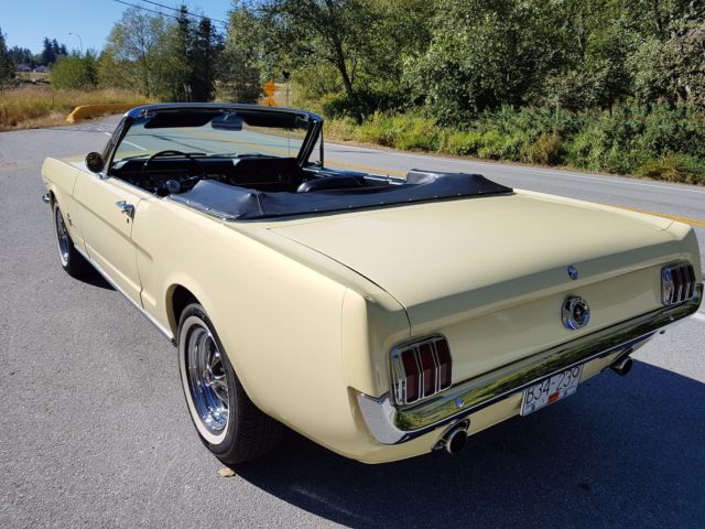 1965 Ford Mustang - photo 3