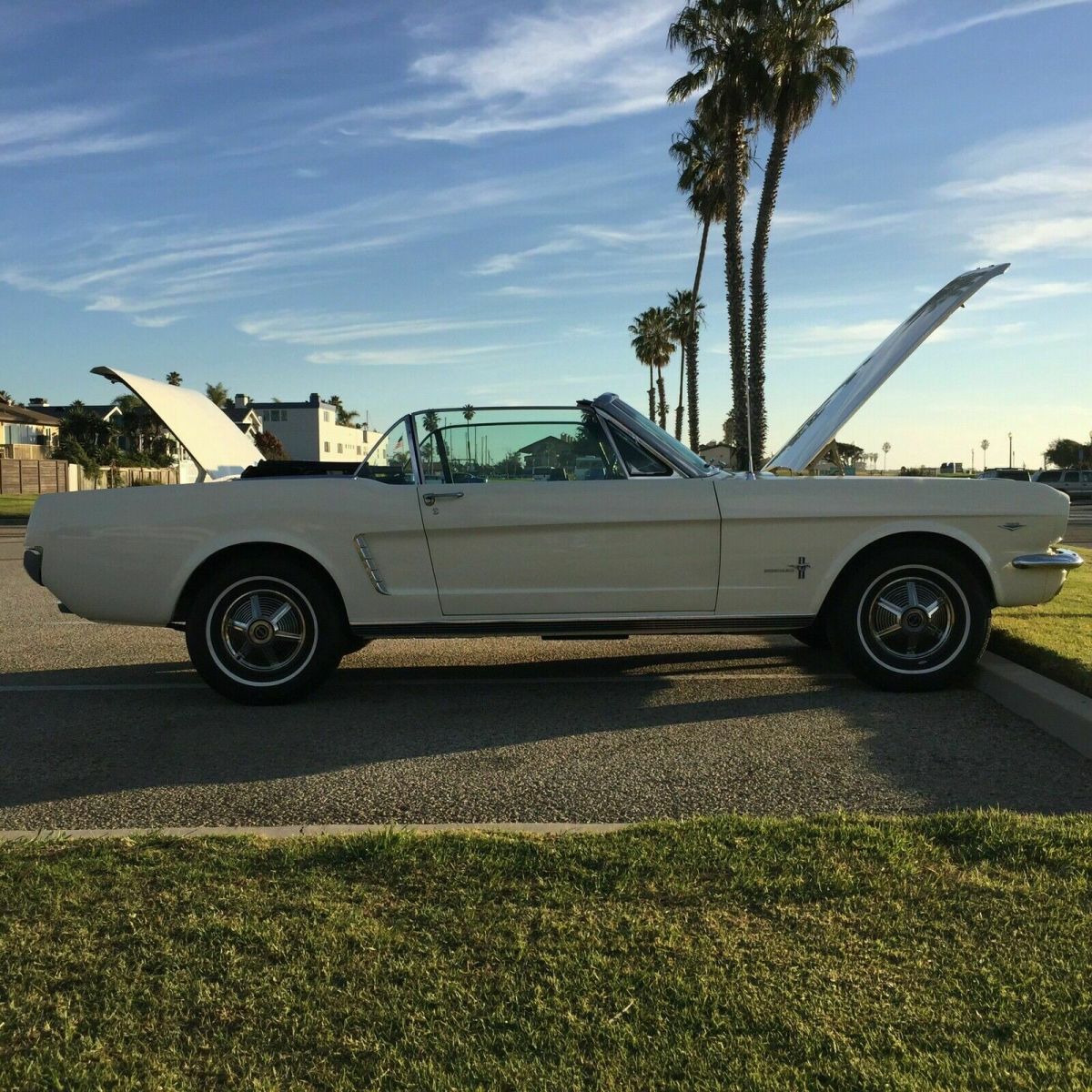 1965 Ford Mustang - photo 8
