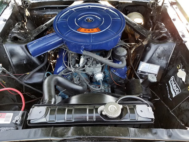 1965 Ford Mustang Gran Touring Trim - photo 8