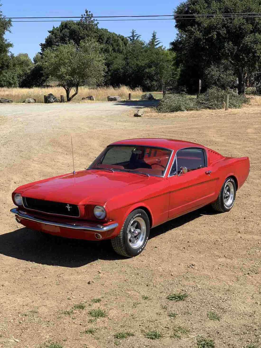 1965 Ford Mustang Fastback 5 Speed Manual P/S, P/B 1965 Ford Mustang