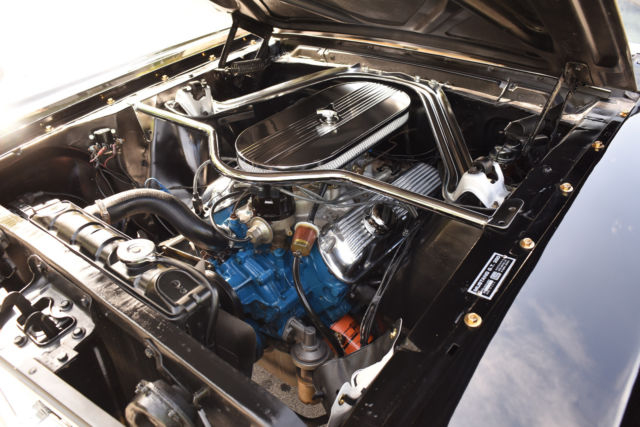 1965 Ford Mustang Fastback Shelby Hertz GT350 Tribute - photo 10
