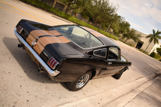 1965 Ford Mustang Fastback Shelby Hertz GT350 Tribute - photo 3