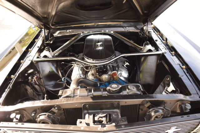 1965 Ford Mustang Fastback Shelby Hertz GT350 Tribute - photo 9