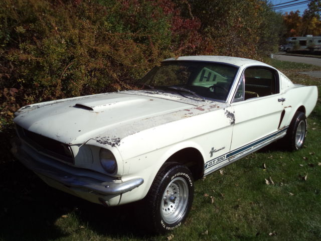 1965 FORD MUSTANG FASTBACK TRUE BARN FIND. STORED INDOORS & OFF ROAD SINCE 1973 1965 Ford Mustang SHELBY G.T. 350 2+2 FASTBACK