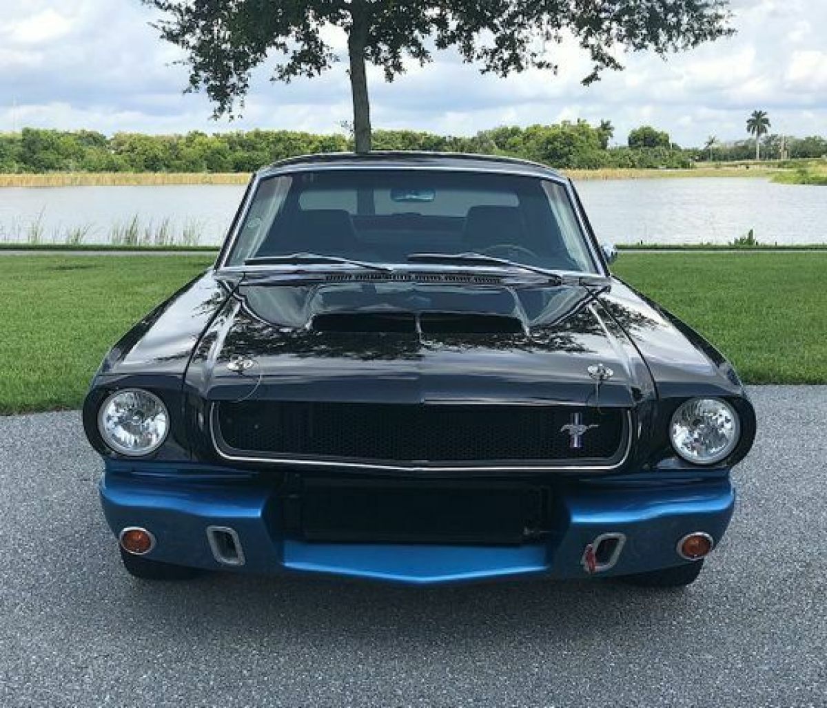 1965 Ford Mustang GT350 - photo 6