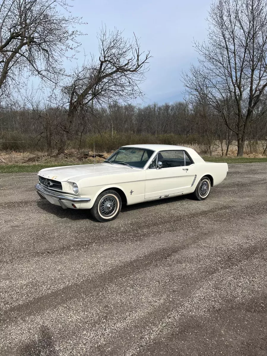 1965 Ford Mustang (PLEASE READ INSPECTION-NOT ROAD WORTHY) - T1309624 1965 Ford Mustang (PLEASE READ INSPECTION-NOT ROAD WORTHY)