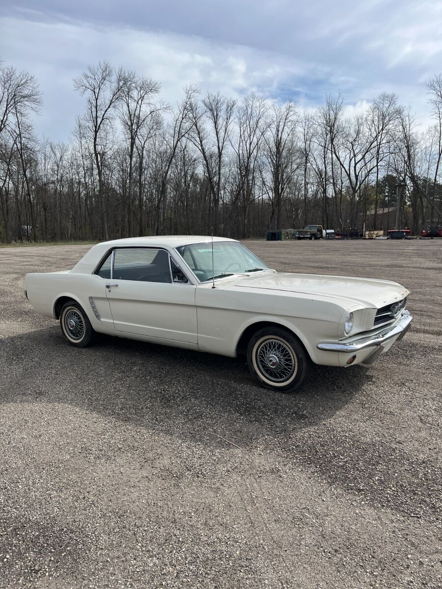 1965 Ford Mustang (PLEASE READ INSPECTION-NOT ROAD WORTHY) - photo 4