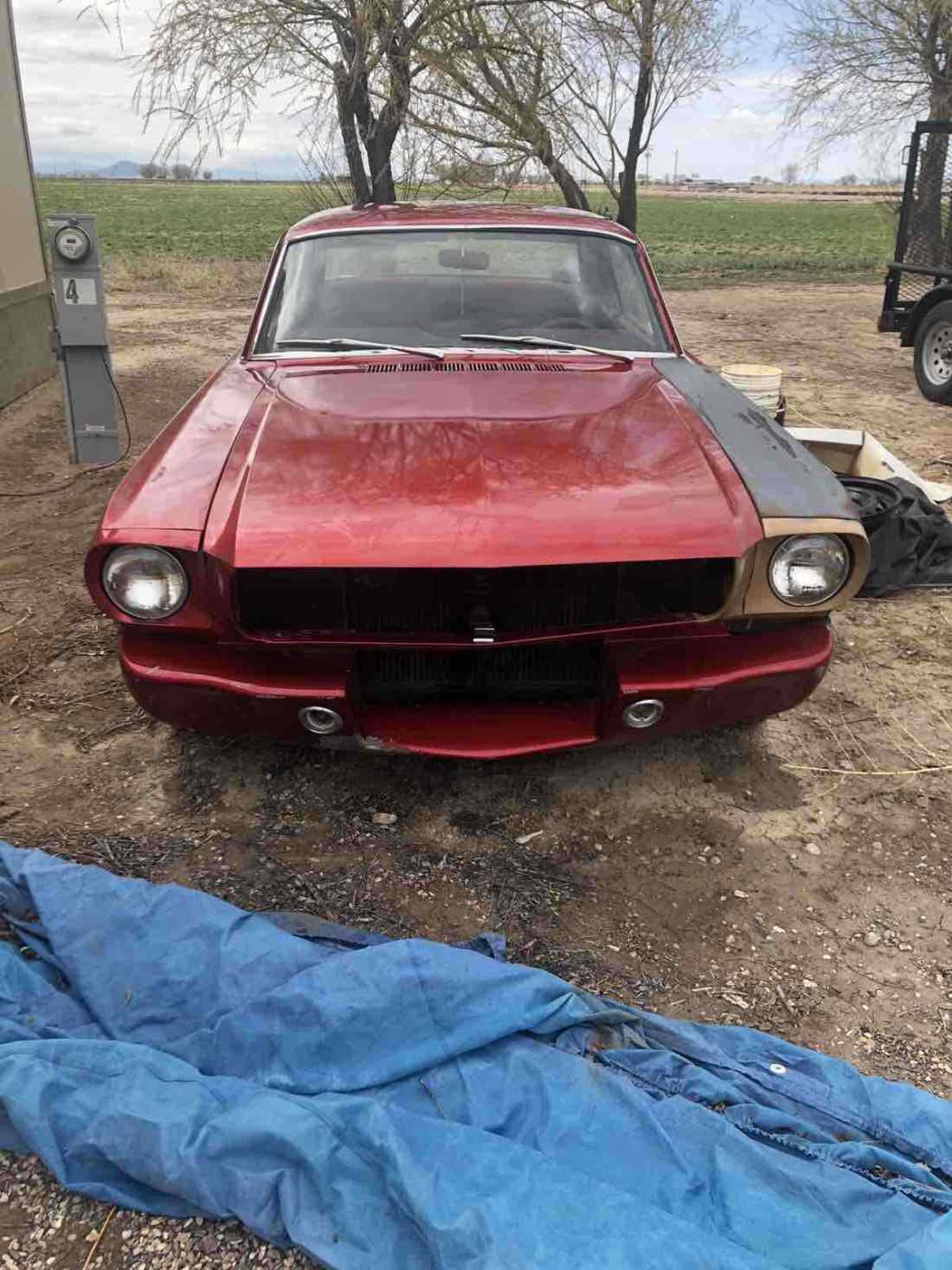 1965 Ford Mustang - photo 6