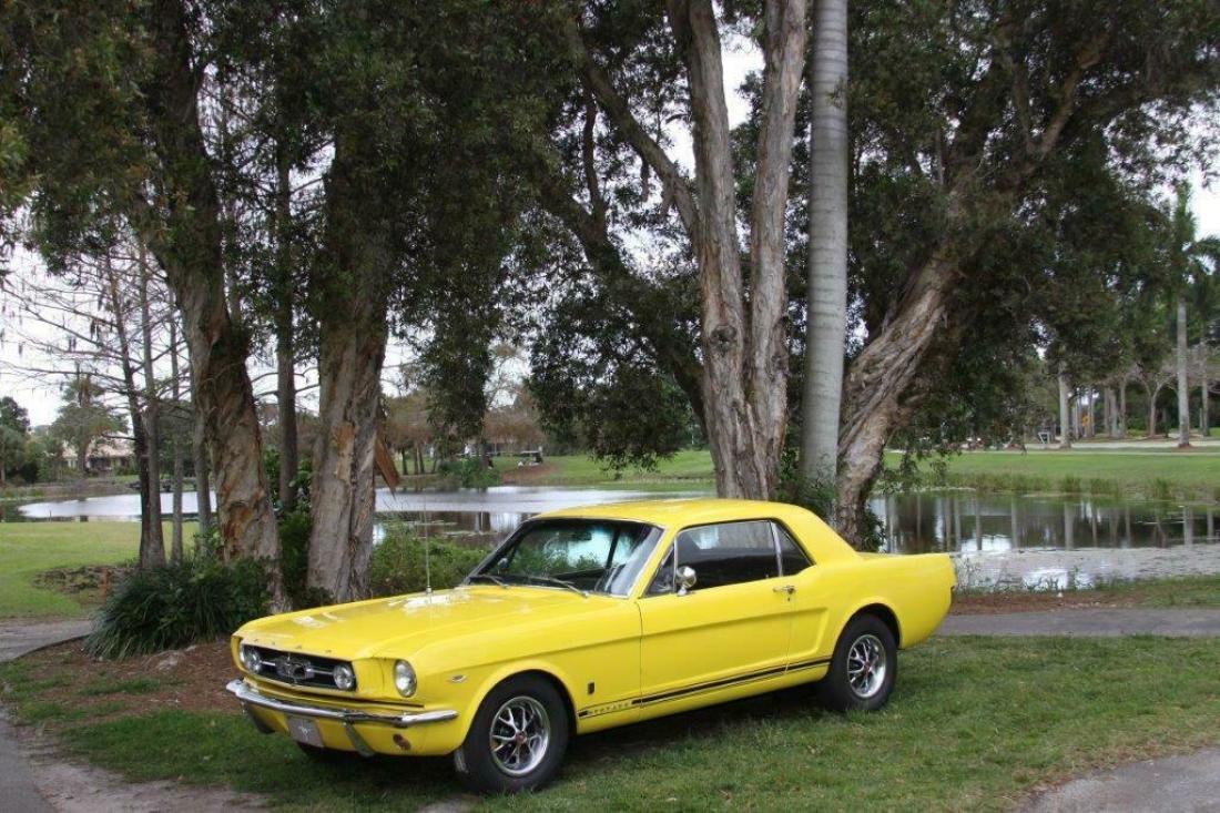 1965 Ford Mustang True GT A Code Rebuilt 289 Match #s New 5 spd trans AC PS DB 1965 Ford Mustang