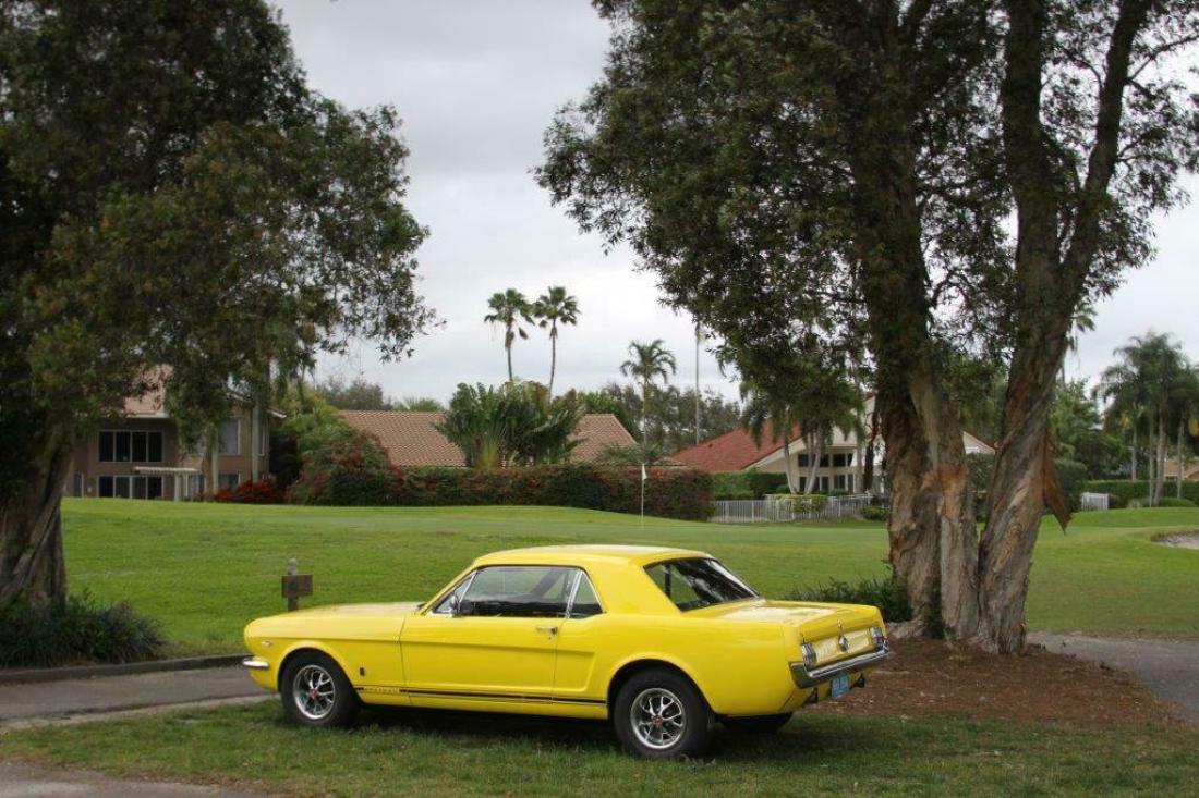 1965 Ford Mustang - photo 4
