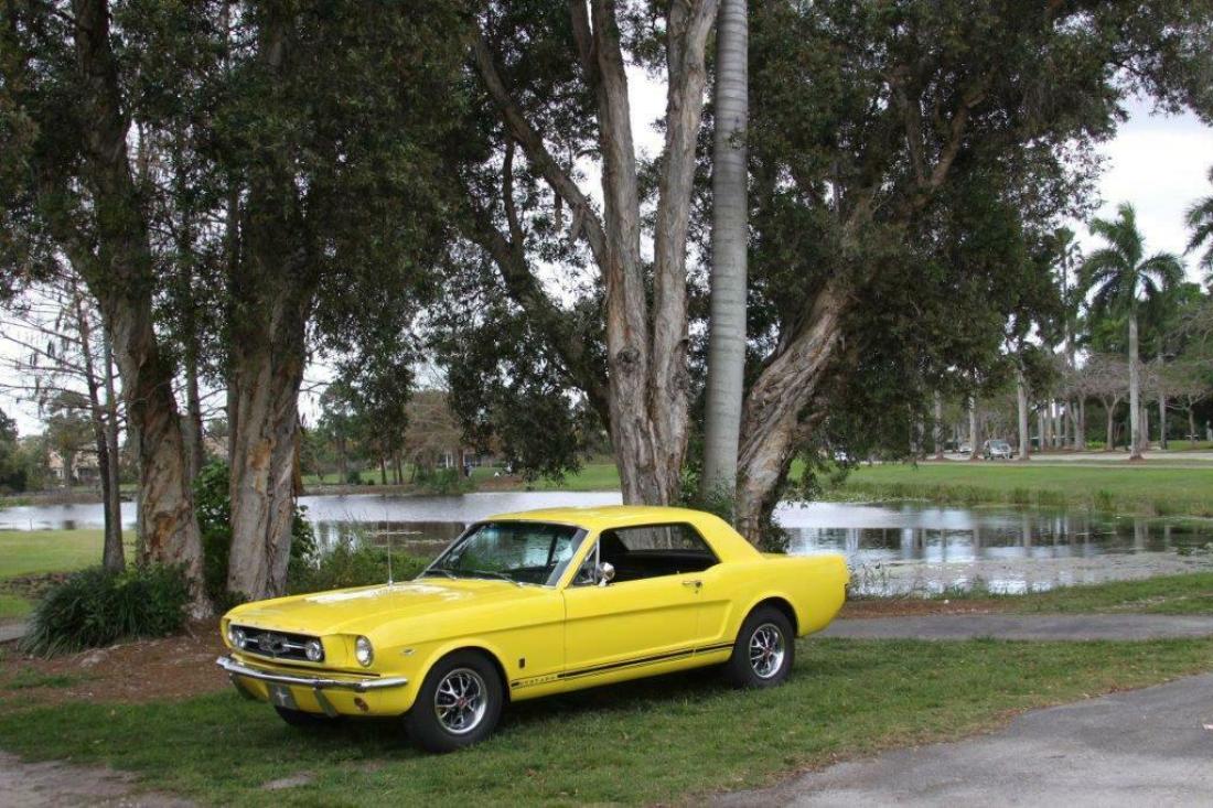 1965 Ford Mustang - photo 5