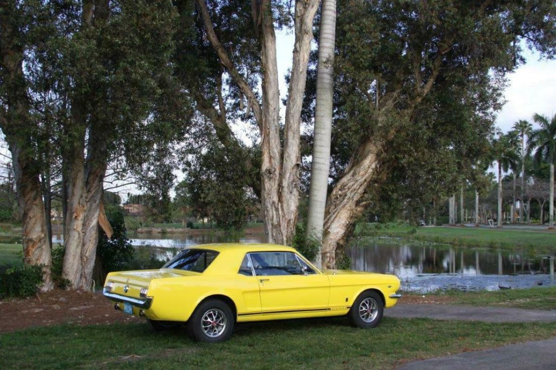 1965 Ford Mustang - photo 8