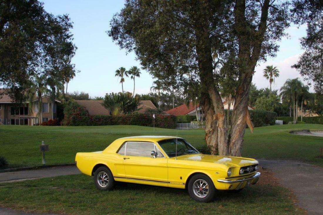 1965 Ford Mustang - photo 9