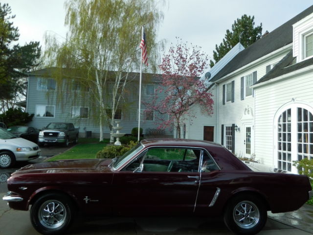 1965 Ford Mustang - photo 2