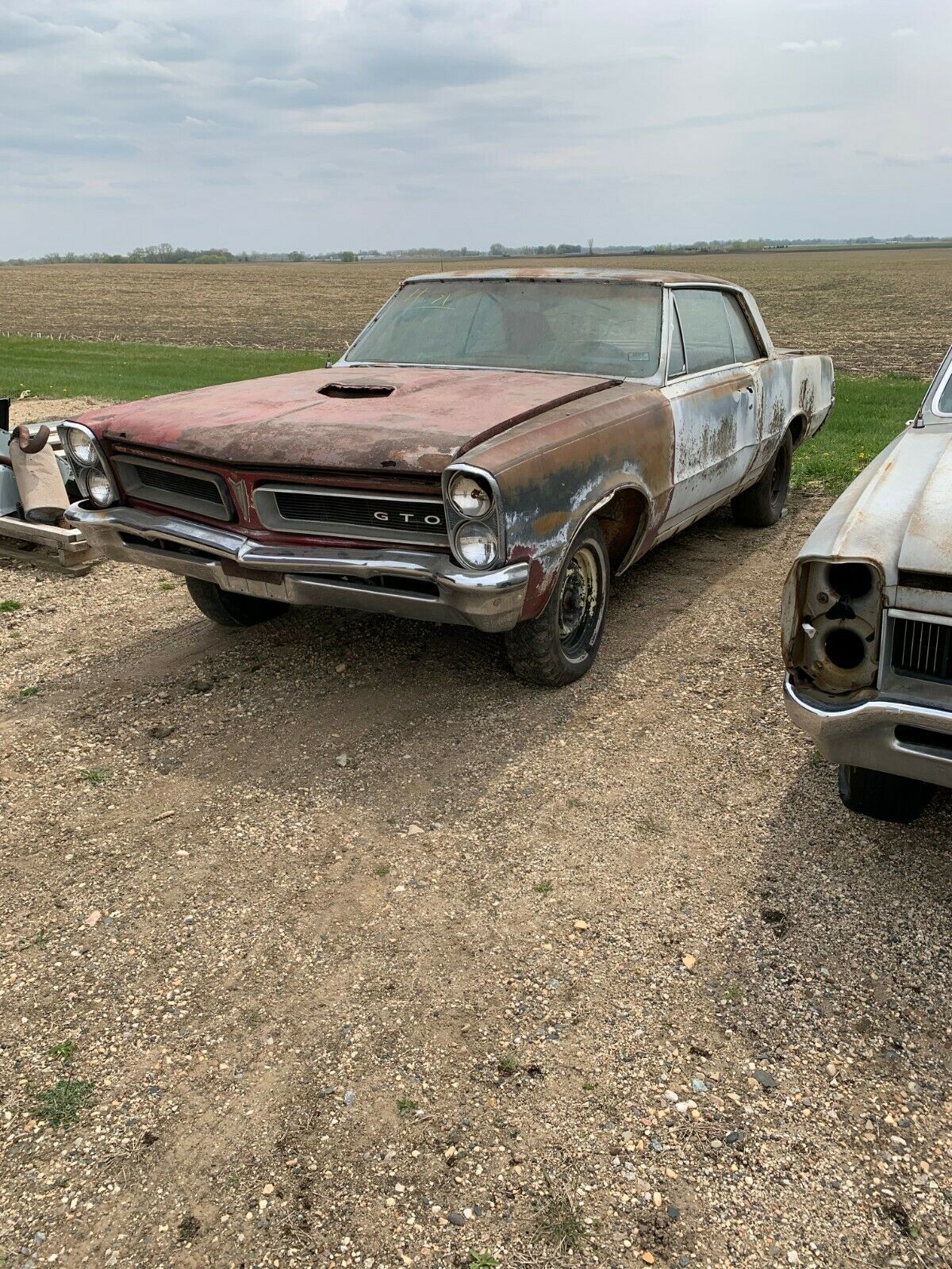 1965 Pontiac GTO - photo 2