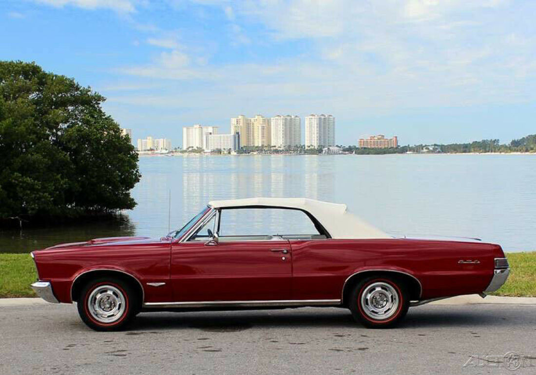 1965 Pontiac Le Mans GTO Tribute - photo 4