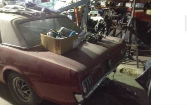 1965 Ford Mustang Cobra - photo 9
