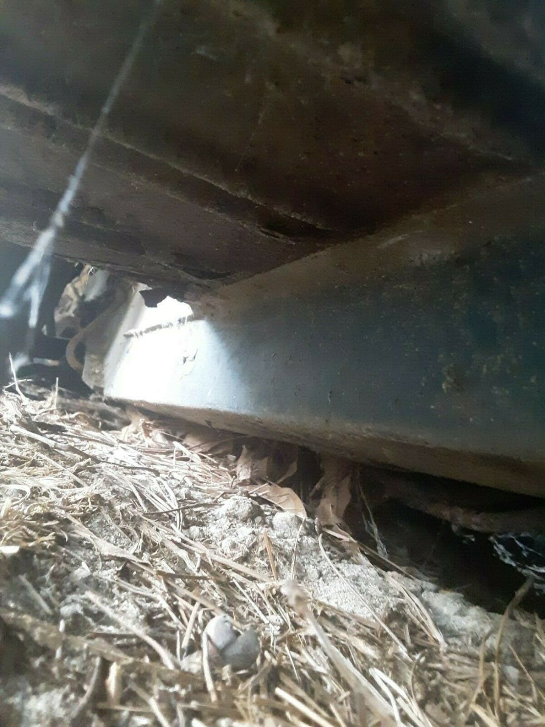 1965 Ford Mustang - photo 7