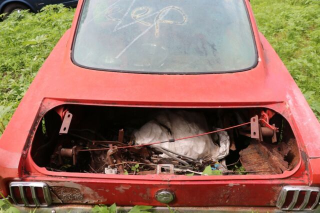 1965 Ford Mustang 2+2 - photo 10