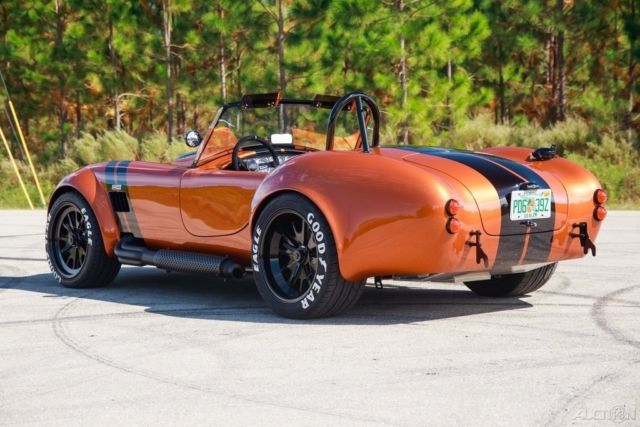 1965 Other Makes Cobra - photo 10