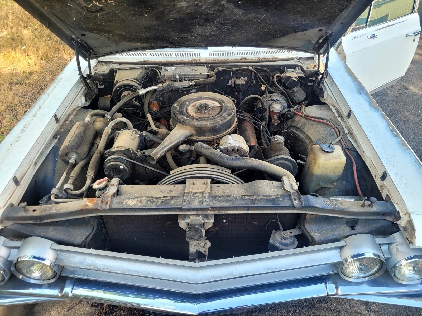 1965 Oldsmobile Delta 88 yes - photo 12