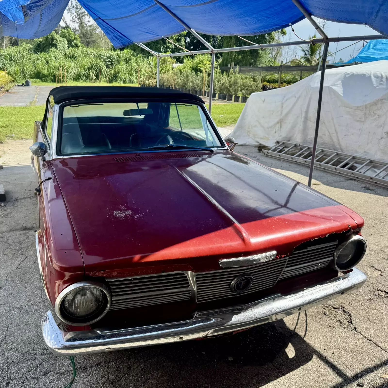 1965 Plymouth Valiant Signet 3.7l 1965 Plymouth Valiant Signet